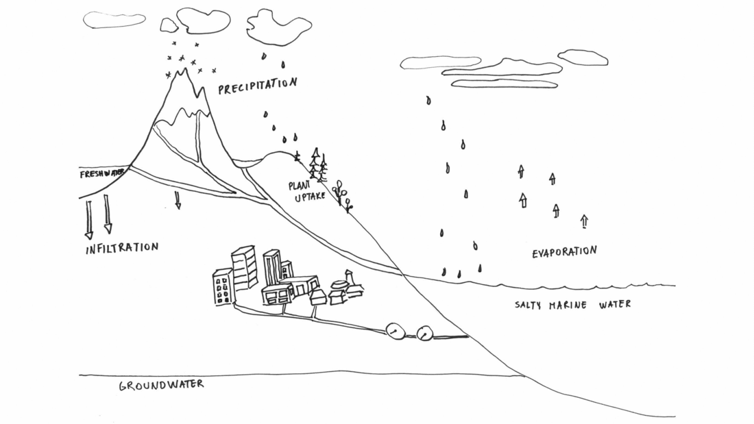 Water cycle MOOC Auditing Water Management