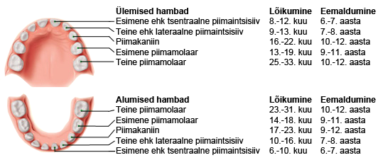 hammaskond8.png