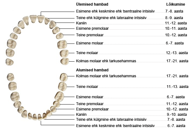 hammaskond9.png