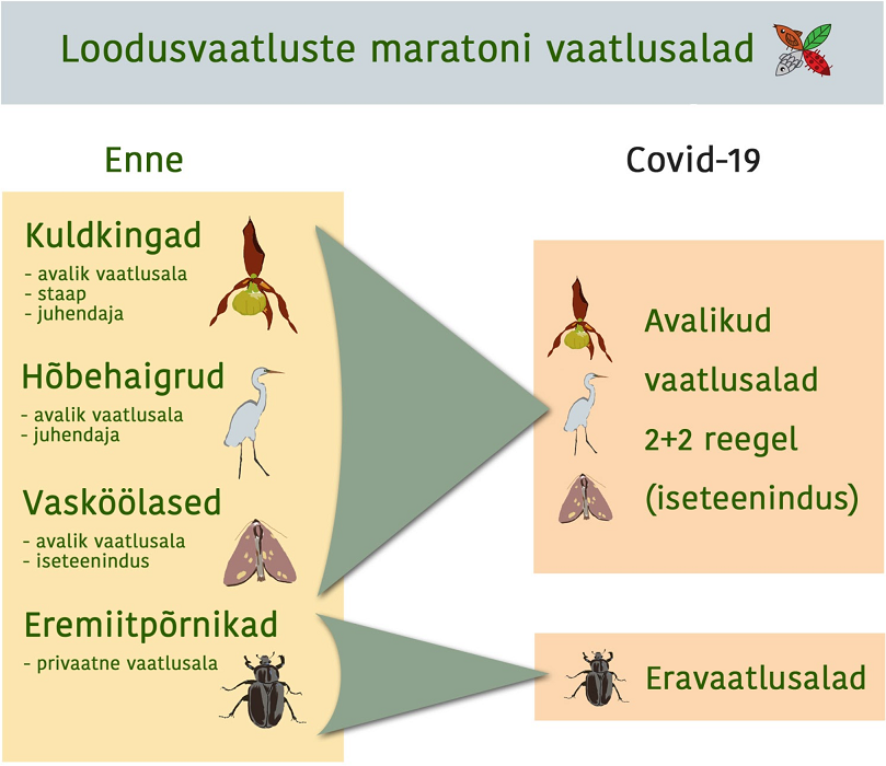 Loodusvaatluste maratoni vaatlusalade kategooriad