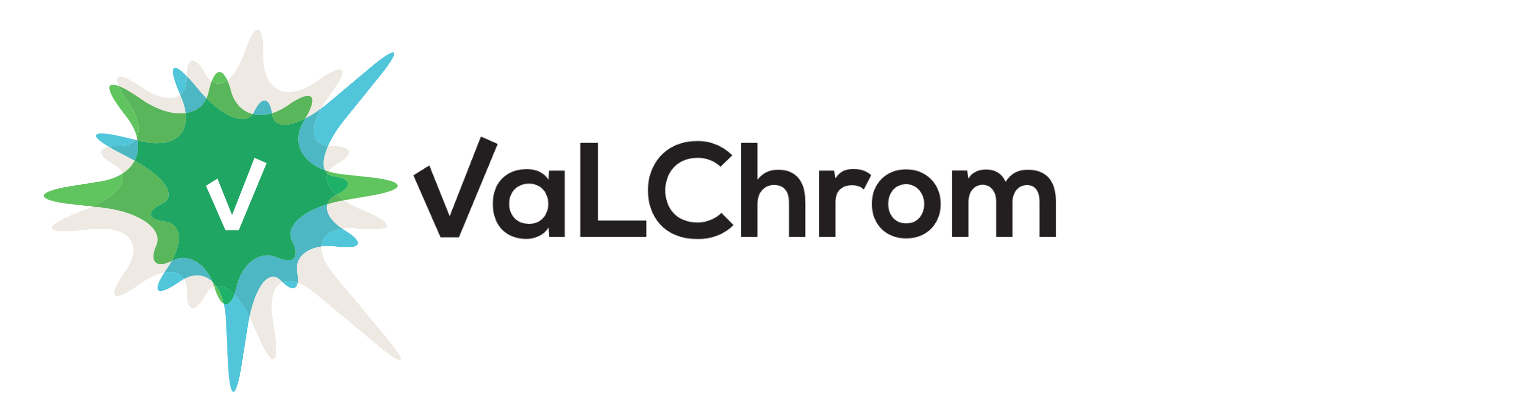 ValChrom logo