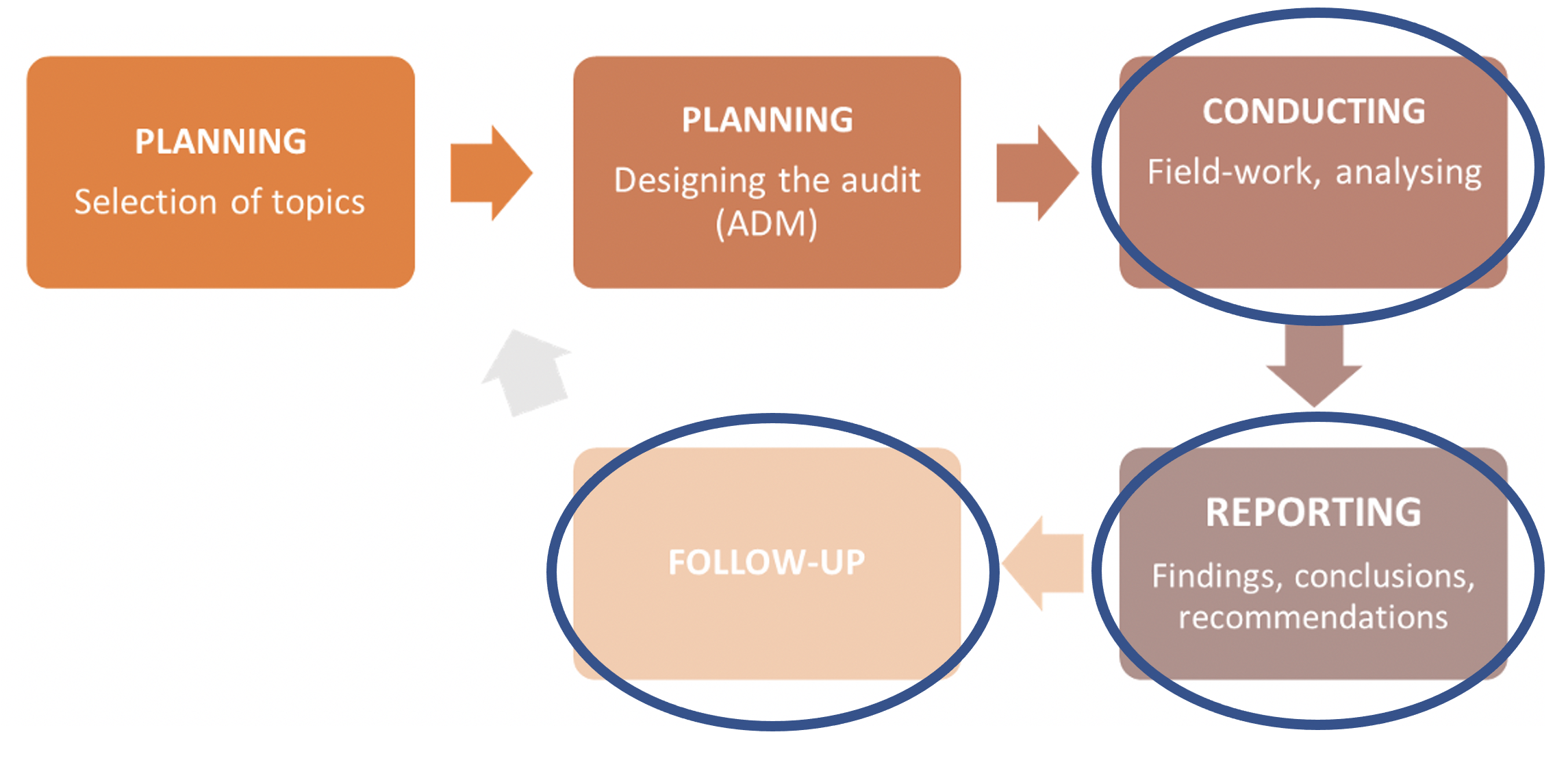 Module 4: Conducting an audit, reporting and follow-up