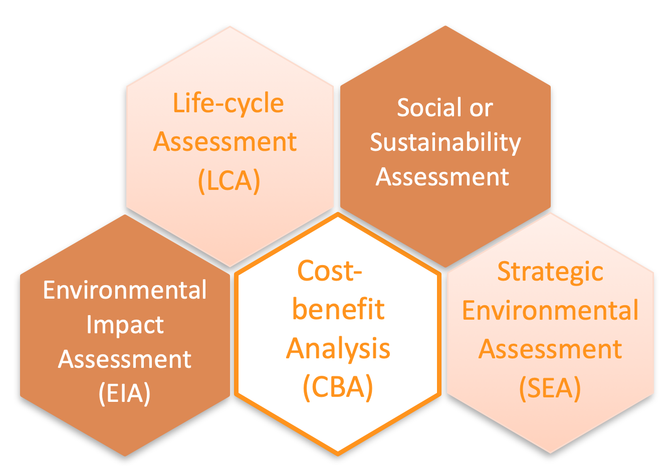 assessment