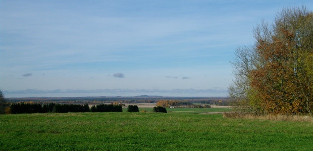 Foto: Tõnu Pani Foto: Tõnu Pani