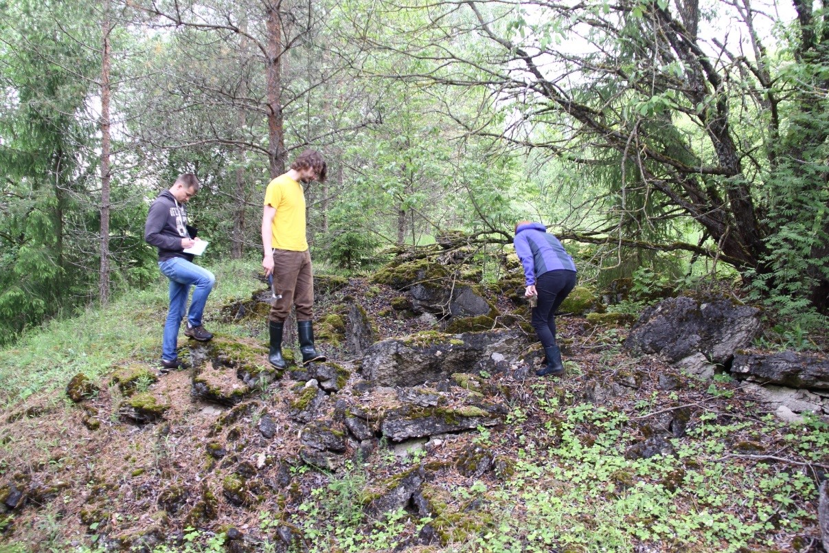 Adavere paemurru lahtised tükid (foto: T. Meidla, 2017).