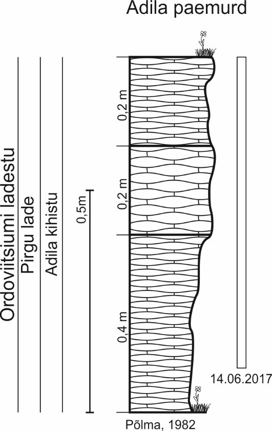 Adila paemurru läbilõige Põlma (1982) järgi. Ristkülikuga näidatud 2017. aastal paljandunud läbilõike osa. (joonis: Paiste T.)