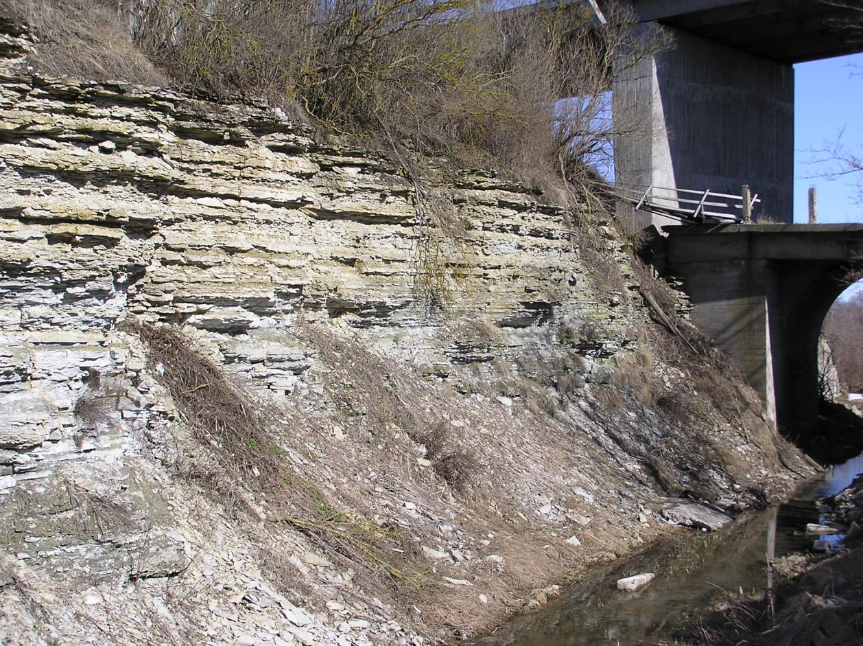 Aluvere paemurru põhjapoolne paljand (foto: T. Meidla, 2014).