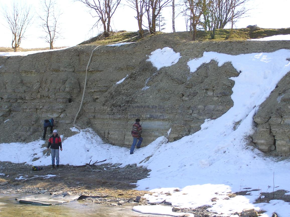 Aluvere paemurru lõunapoolne paljand (foto: T. Meidla, 2014).