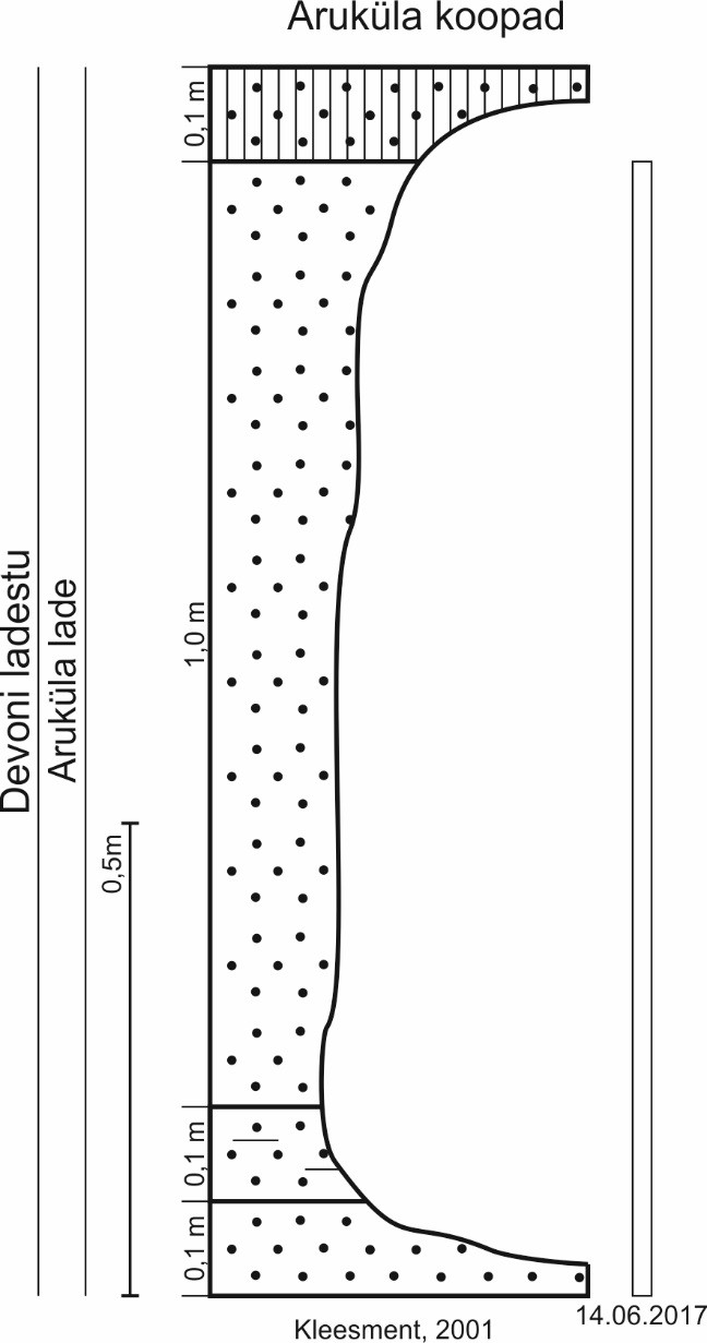 Aruküla koobaste läbilõike joonis Kleesment (2001) põhjal, ristkülikuga märgitud 2017. aastal paljanduv läbilõike osa (joonis: Paiste T.).