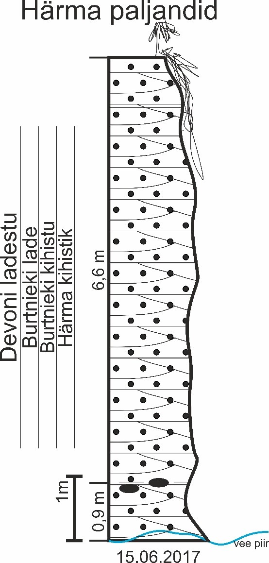 Härma paljandi läbilõige. Paljandub helepruun põimkihiline pude liivakivi (joonis: Paiste T.).