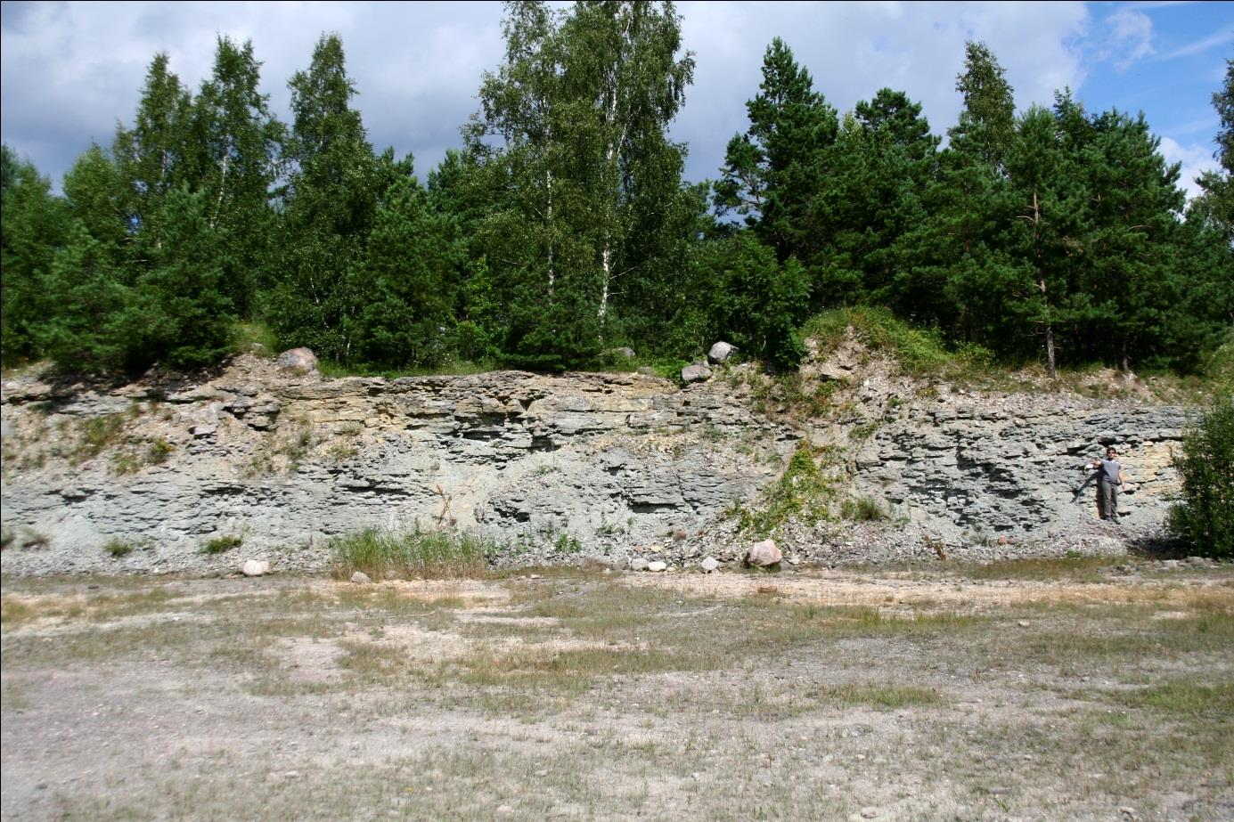 Hilliste paemurru põhjasein (foto: T. Meidla, 2012).