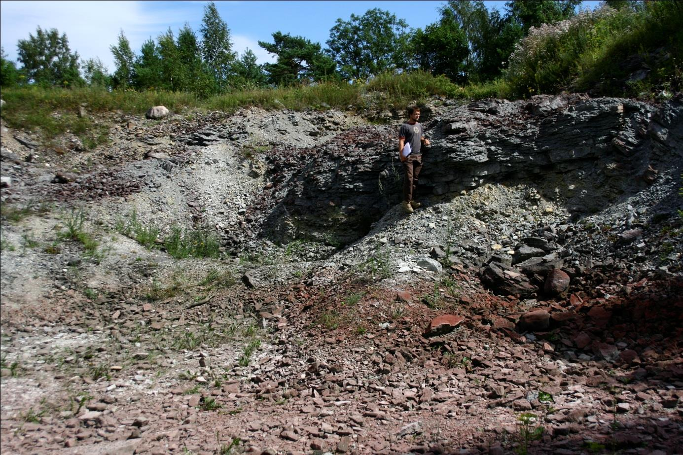 Hilliste paemurru idapoolse osa bioherm (foto: T. Meidla, 2012).