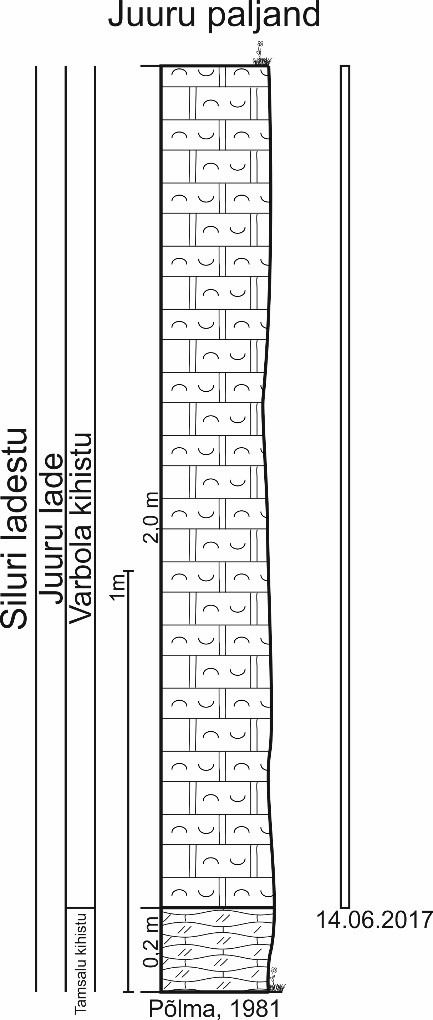 Juuru stratotüüpse paljandi läbilõige Põlma (1981) järgi. Ristkülikuga tähistatud 2017. aastal paljanudnud läbilõike osa. (joonis: Paiste T.)