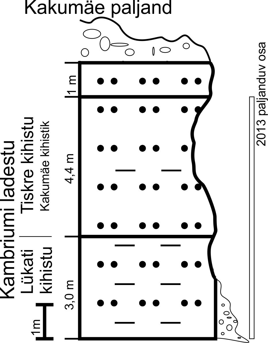 Kakumäe paljandi läbilõige Mens ja Pirrus (1977) andmetel (joonis: T. Paiste).