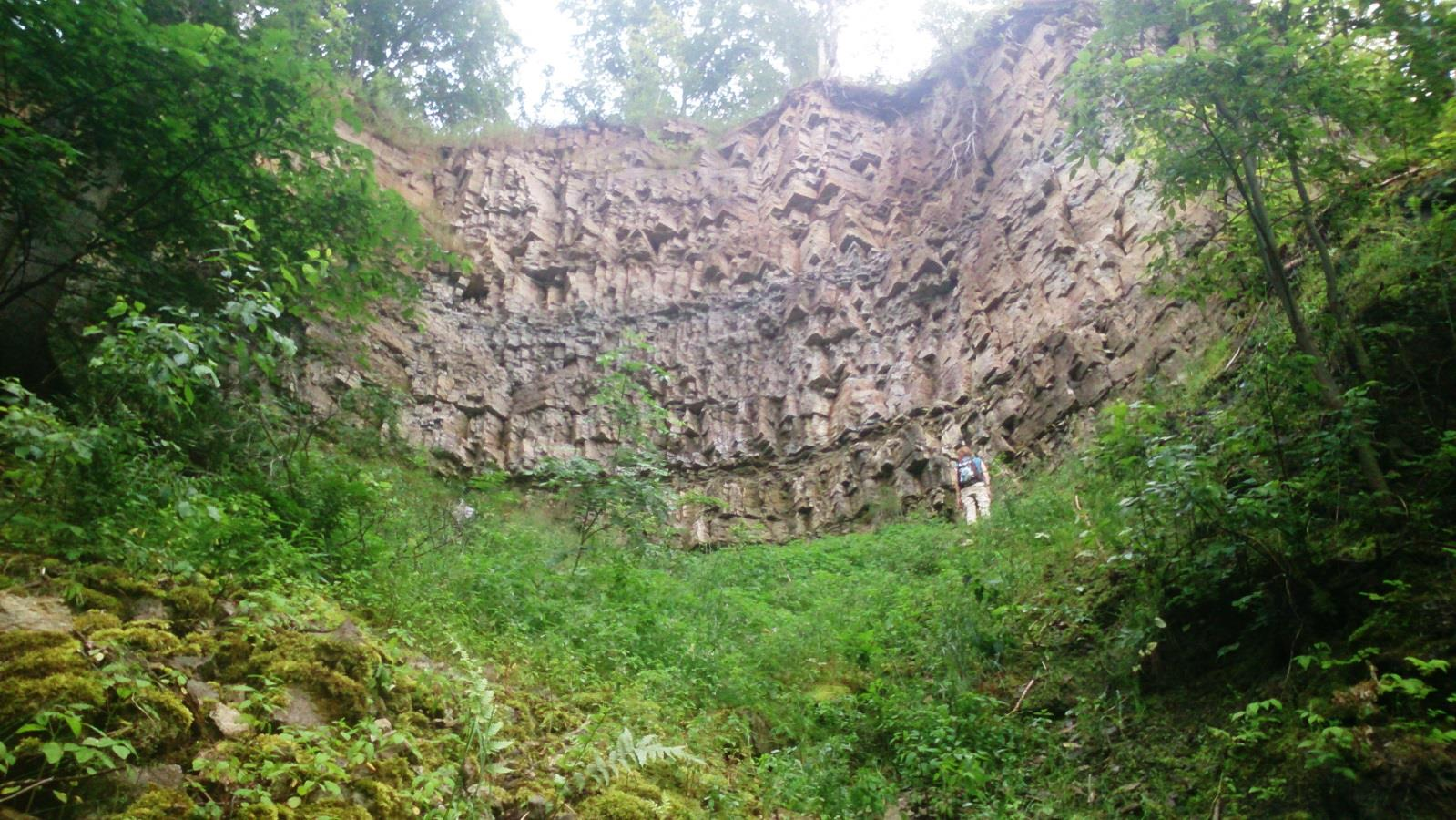 Üldvaade oru põhjast Karjaoru joa paljandiseinale. Saka kihistik paljandub paremini paremal, puude taga. (foto: T. Ani, 2014).