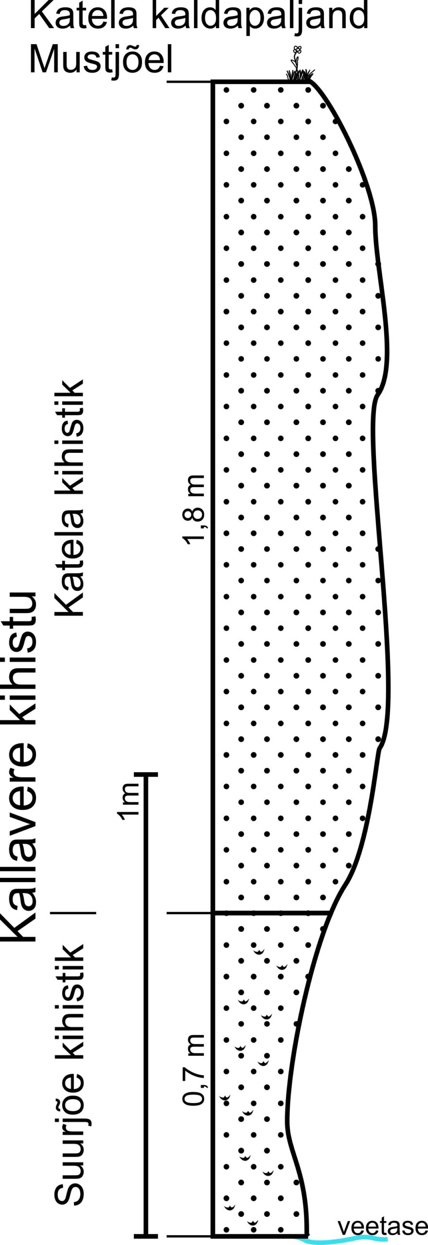 Katela kihistiku stratotüüpse läbilõike joonis, 2014 (T. Paiste).