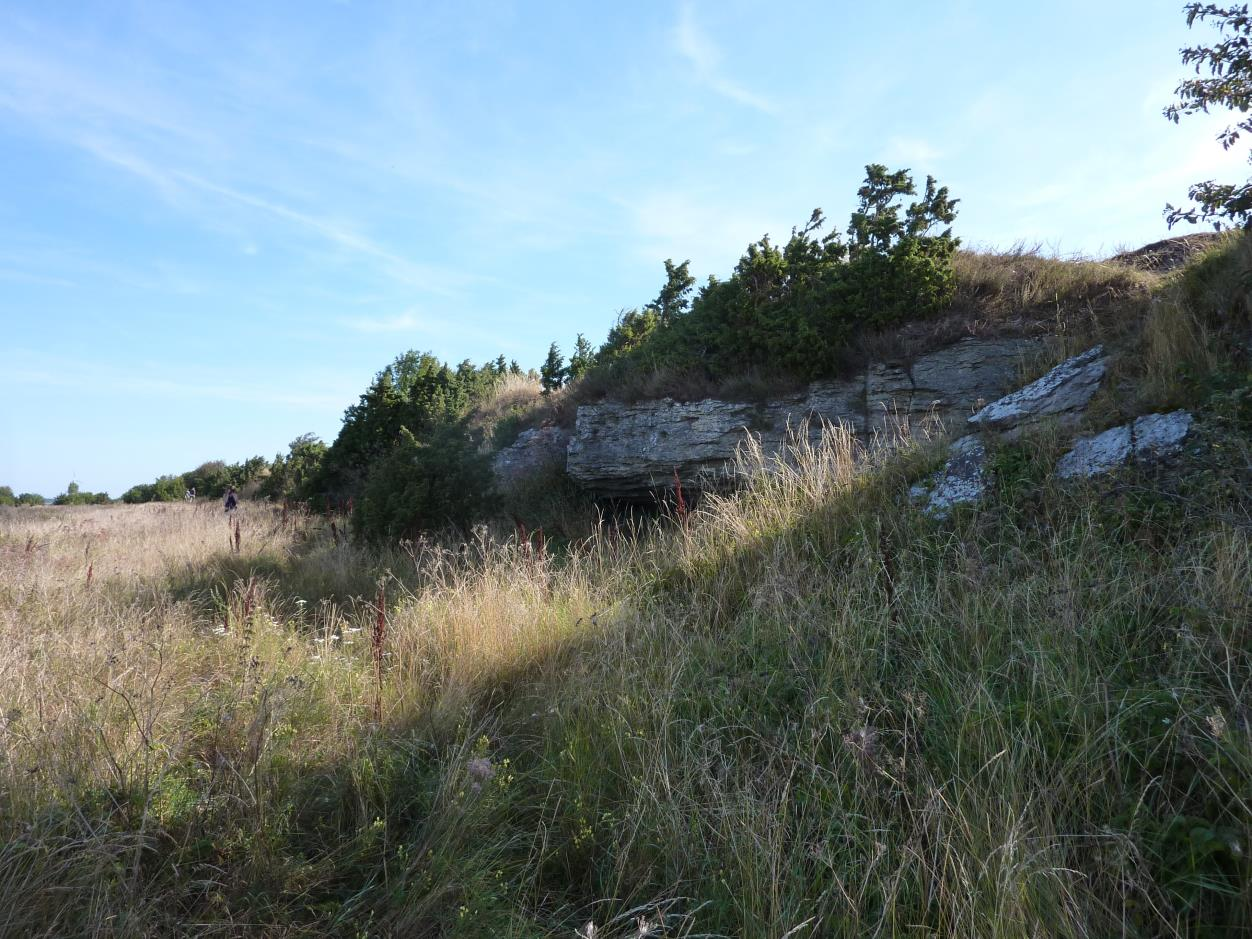 Kaugatuma pank, vaade põhja poole. Pank asub otse tee ääres (foto: T. Paiste, 2015).