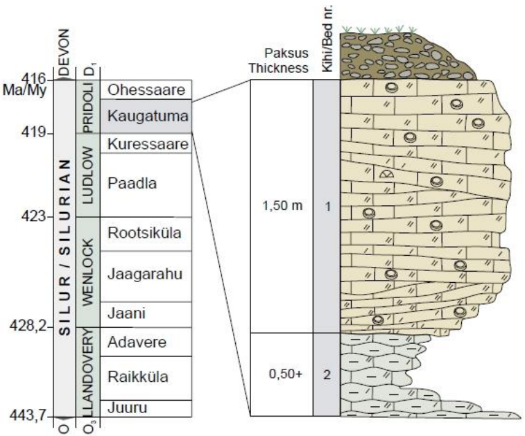 Kaugatuma panga läbilõige (saartegeopark.ee).