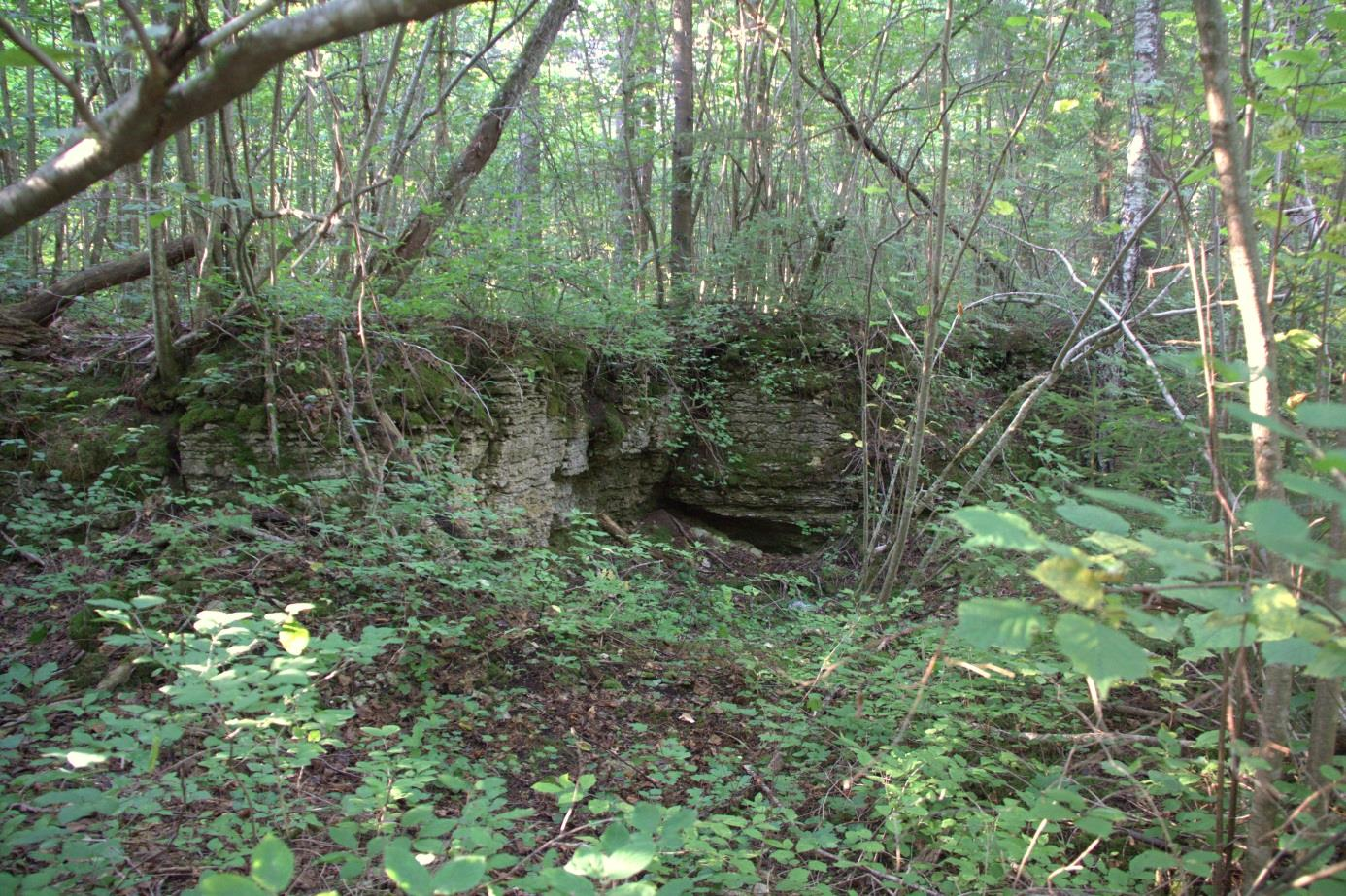 Keila paemurru kaugem, lääne poole jääv halvemas seisus osa (foto: T. Meidla, 2013).