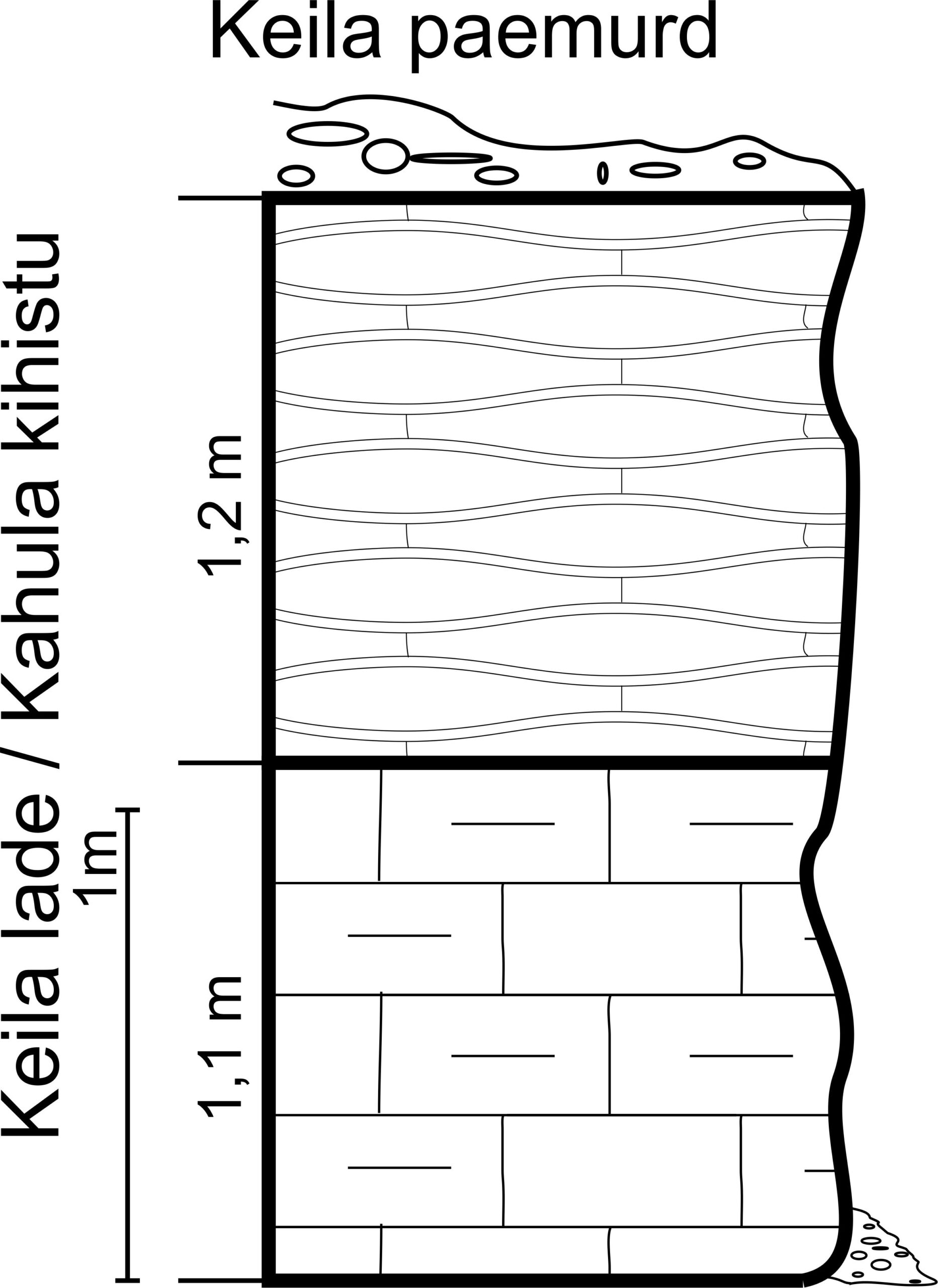 Keila paemurru läbilõige, 2013. (joonis: Paiste T.)