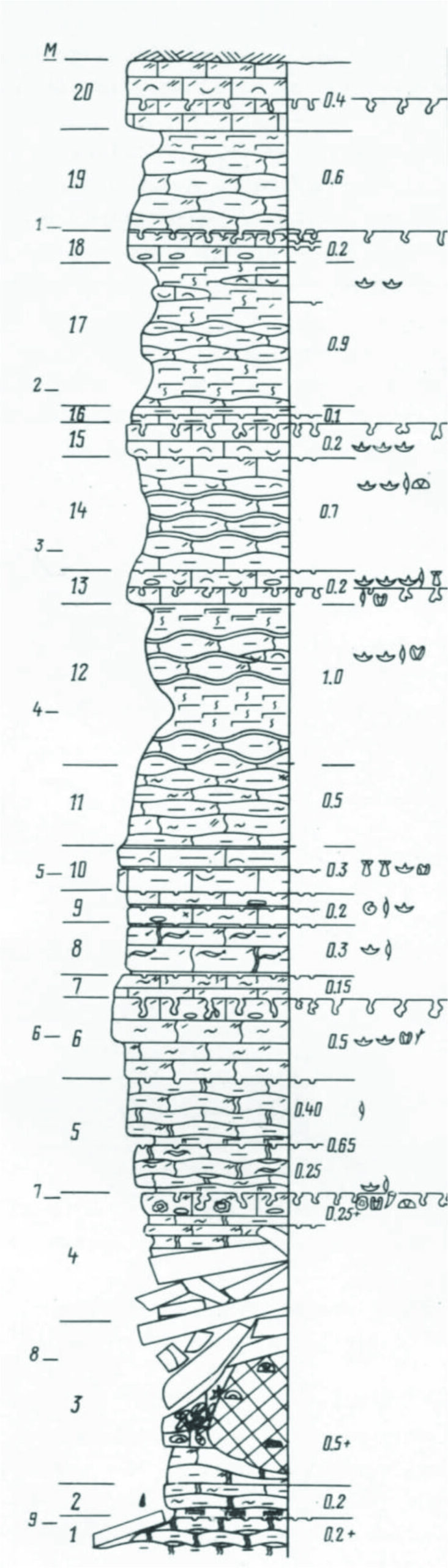 Kogula karjääri läbilõige (Einasto, 1990).