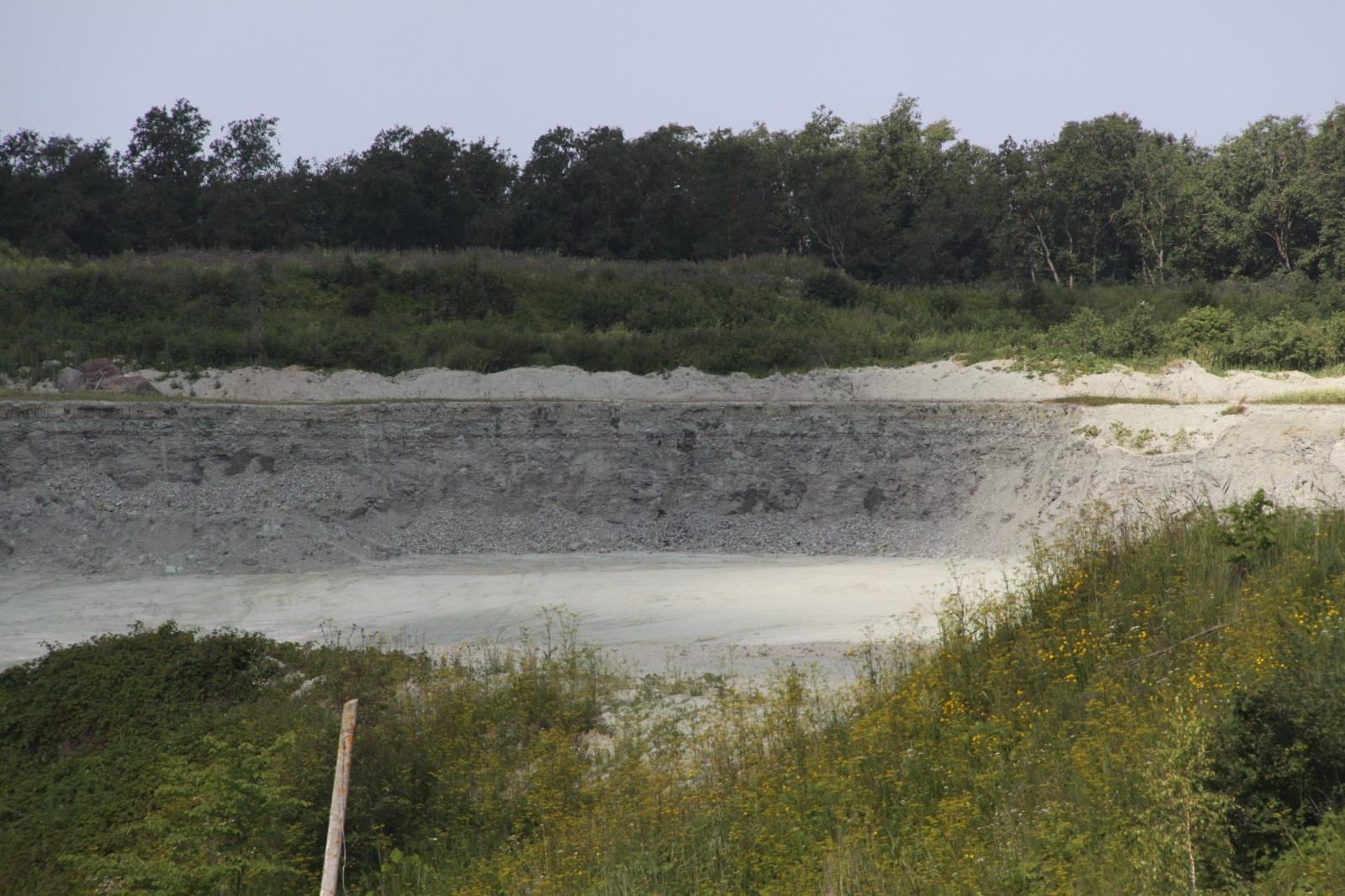 Kunda mereäärse savikarjääri seina ülevaade (foto: T. Meidla, 2014).