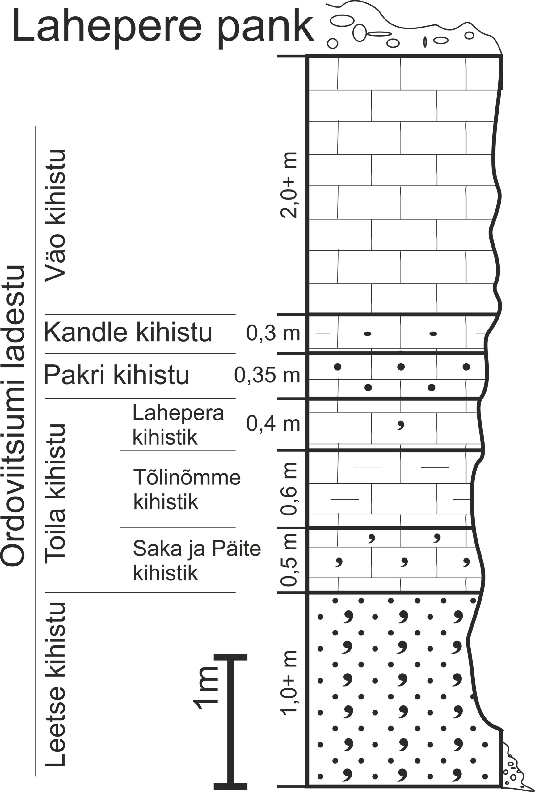 Lahepere panga läbilõige. (joonis: Paiste T.)