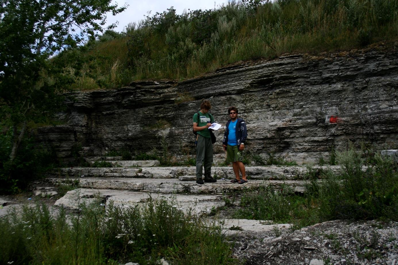 Lasnamäe vana paemurru paljand enne idasoppi (foto: R. Helde, 2012).