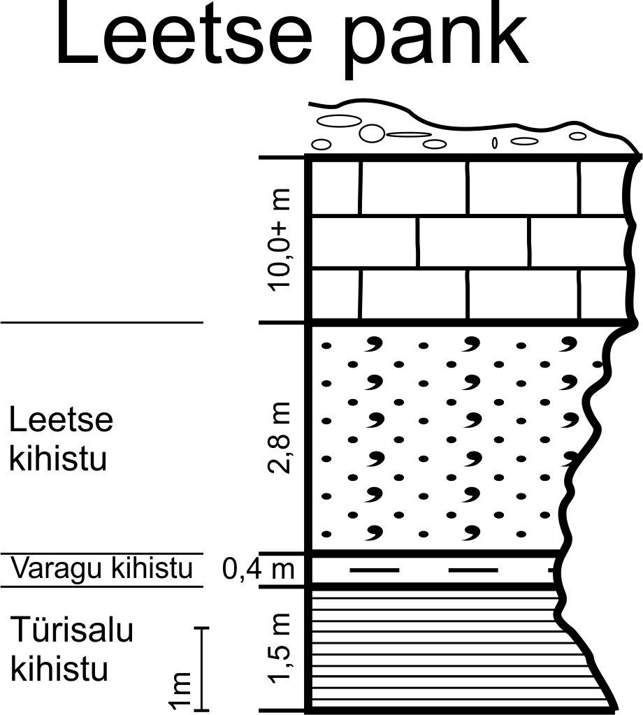 Leetse panga alumise osa läbilõige, 2012 (joonis: Paiste T.).