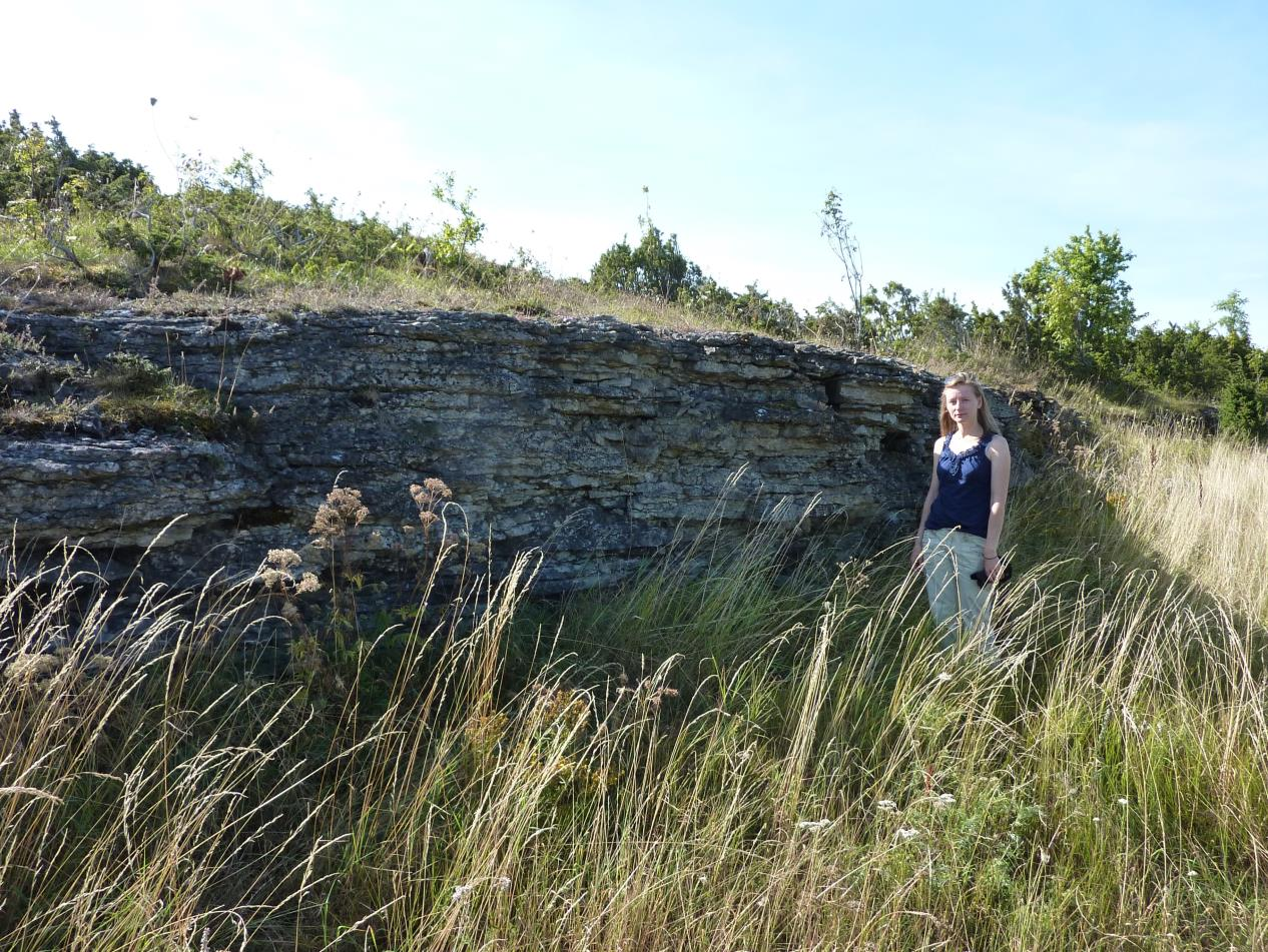 Lõo pank, põhjapoolne astang (foto: T. Paiste, 2015).