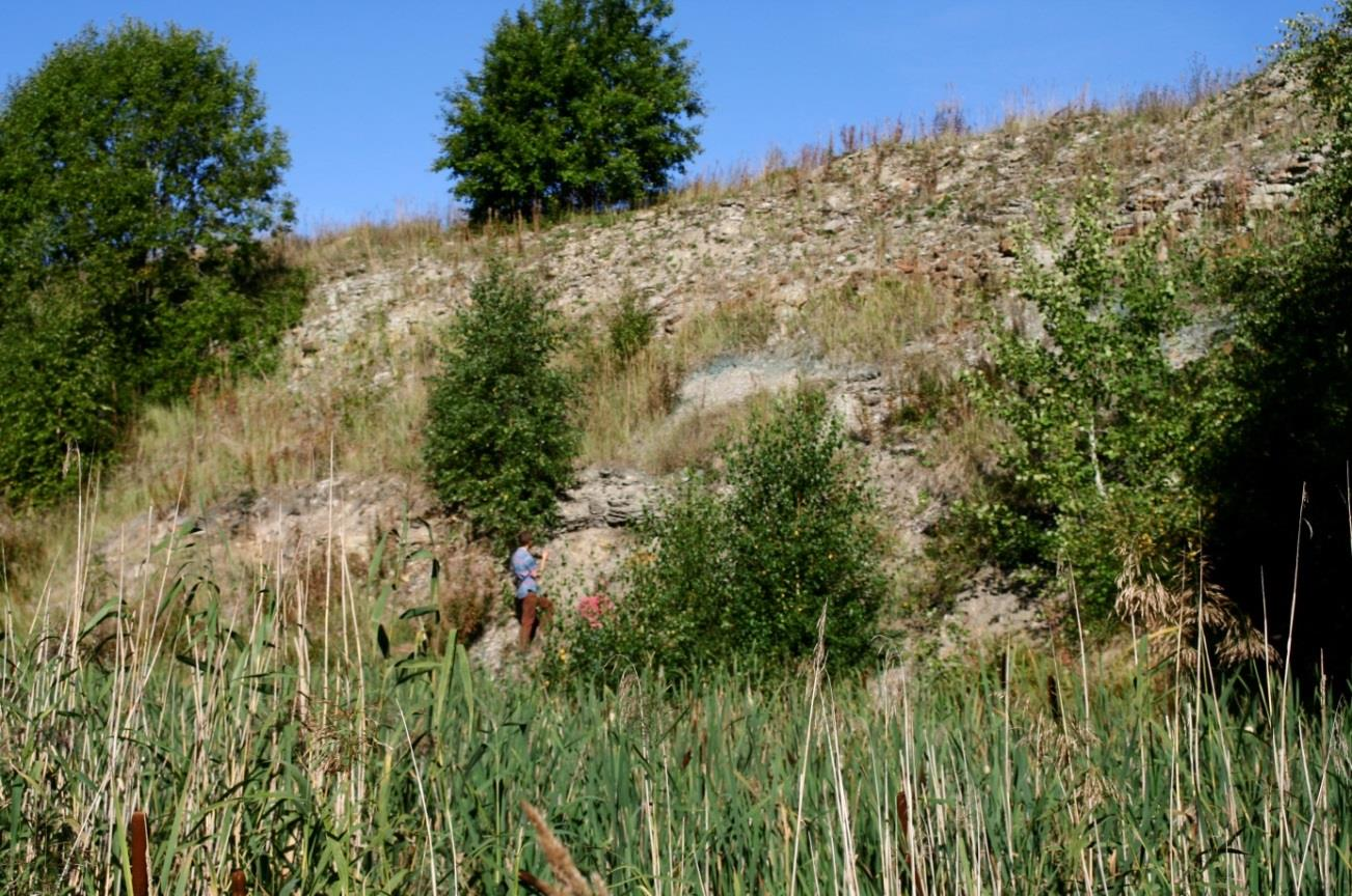 Maardu karjääri kamardunud nõlvad (foto: T. Meidla, 2013).