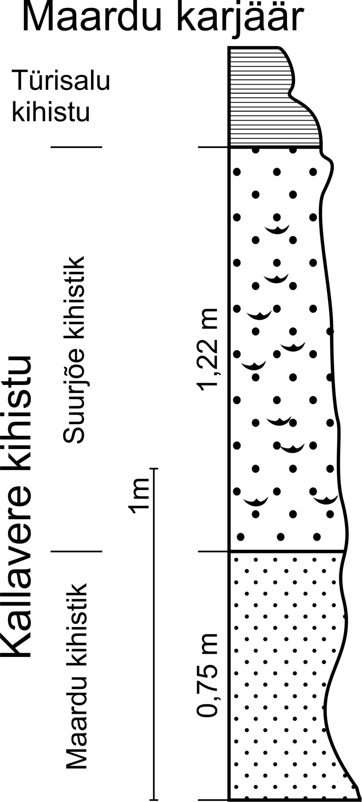 Maardu karjääris 2013 aastal puhastamisel saadud läbilõike joonis (T. Paiste).