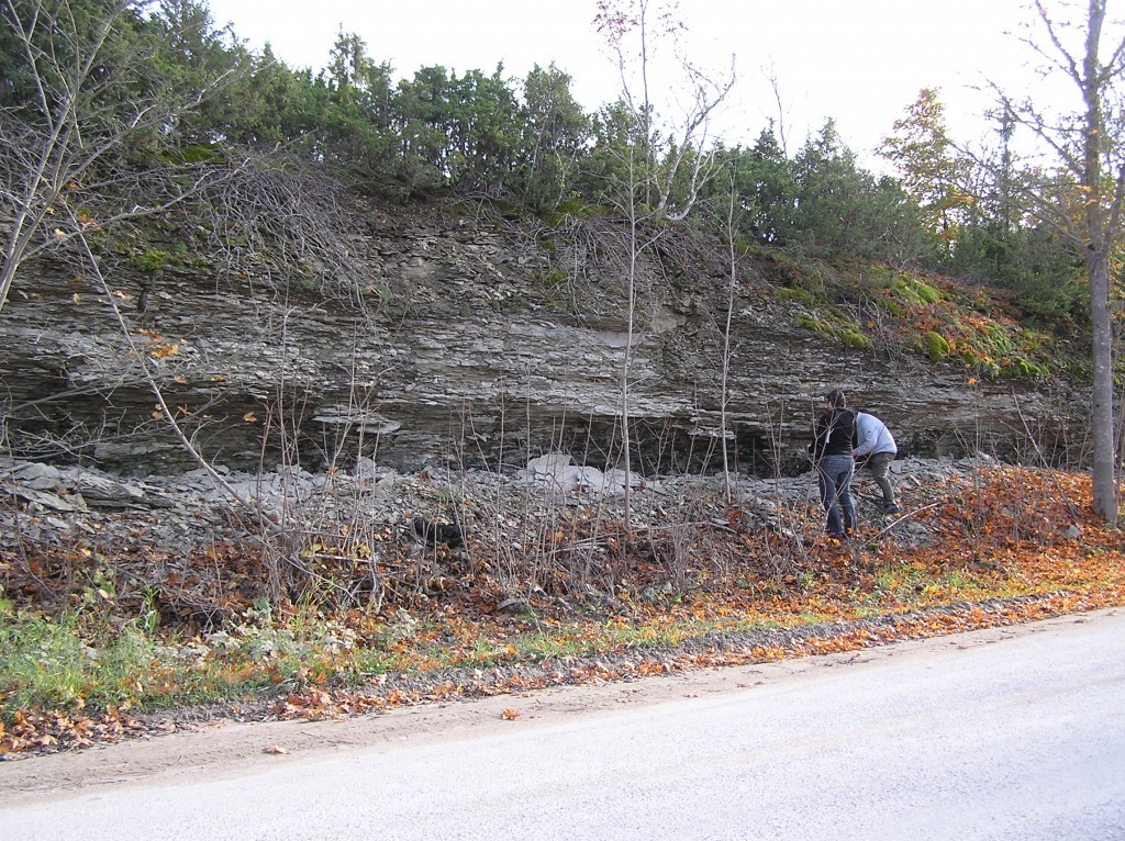 Madise astangu teeäärne paljand, Madise kirikust läänes (foto: L. Ainsaar, 2008).