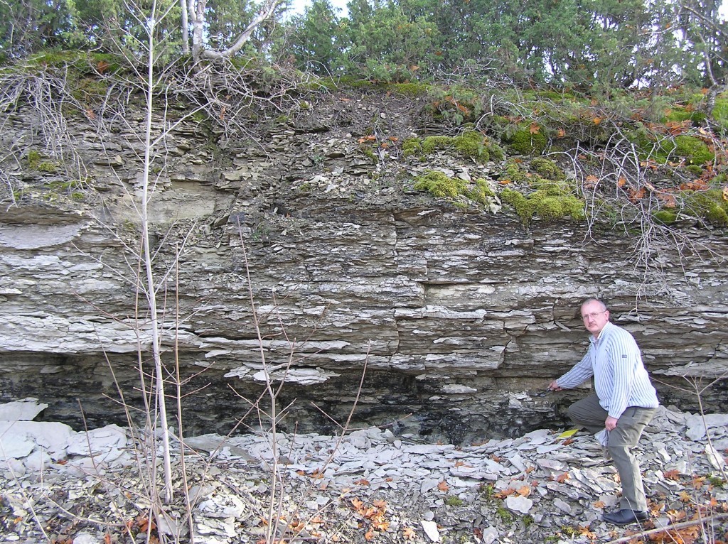 Madise astangu läbilõige. Madise kihistiku lubjakivid paiknevad vasaraga viidatud piirist ülespoole (foto: L. Ainsaar, 2008).