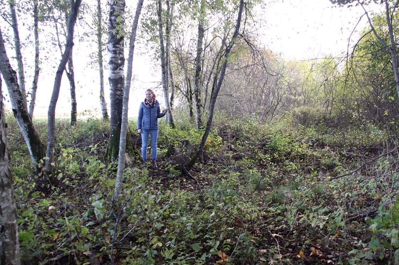 Eeldatav kunagise Mõhküla paemurru serv (foto: T. Meidla, 2017).