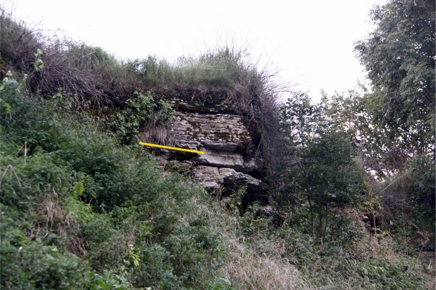 Potentsiaale kunagise Napa paljandi läbilõige. Napa kihistiku ülemine piir märgitud kollase joonega (foto: S. Soomer, 2016).