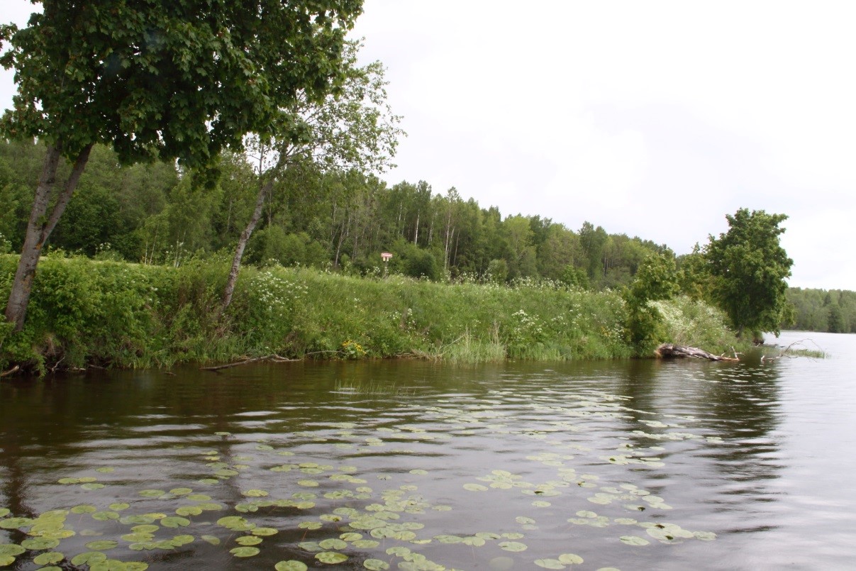 Narva jõe Devoni paljandi tõenäoline kunagine asukoht (foto: T. Meidla, 2017).