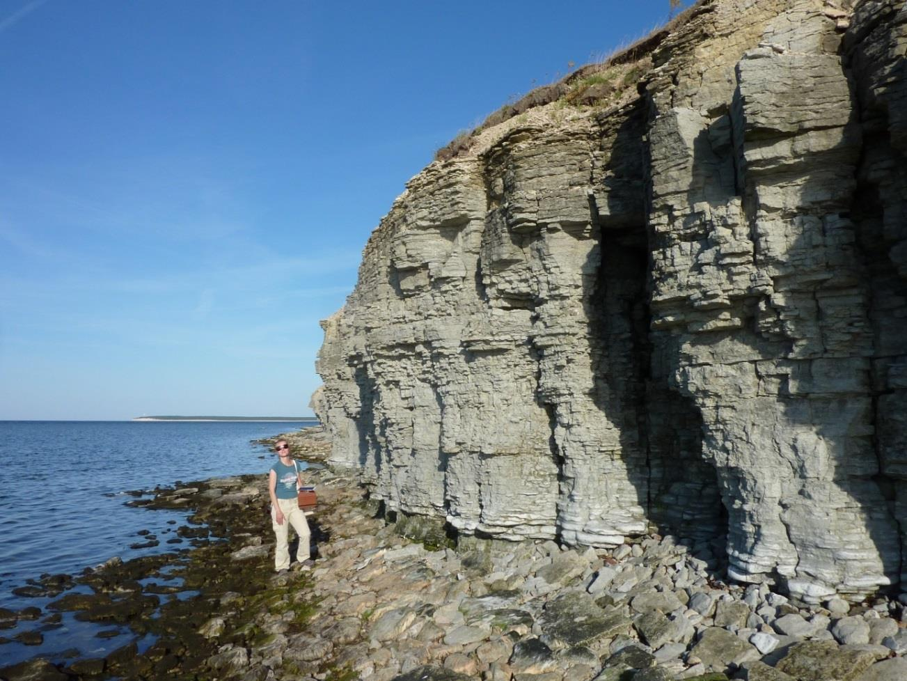 Ninase pank Saaremaa põhjarannikul (foto: T. Paiste, 2015).