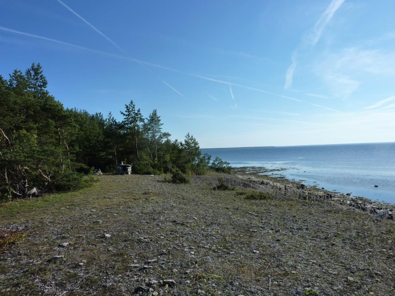 Ninase poolsaare tipu lähedal läänepoolsel küljel, paksema läbilõikega alast 500 m läänes. Koht, kust pääseb astangu alla (foto: T. Paiste, 2015).