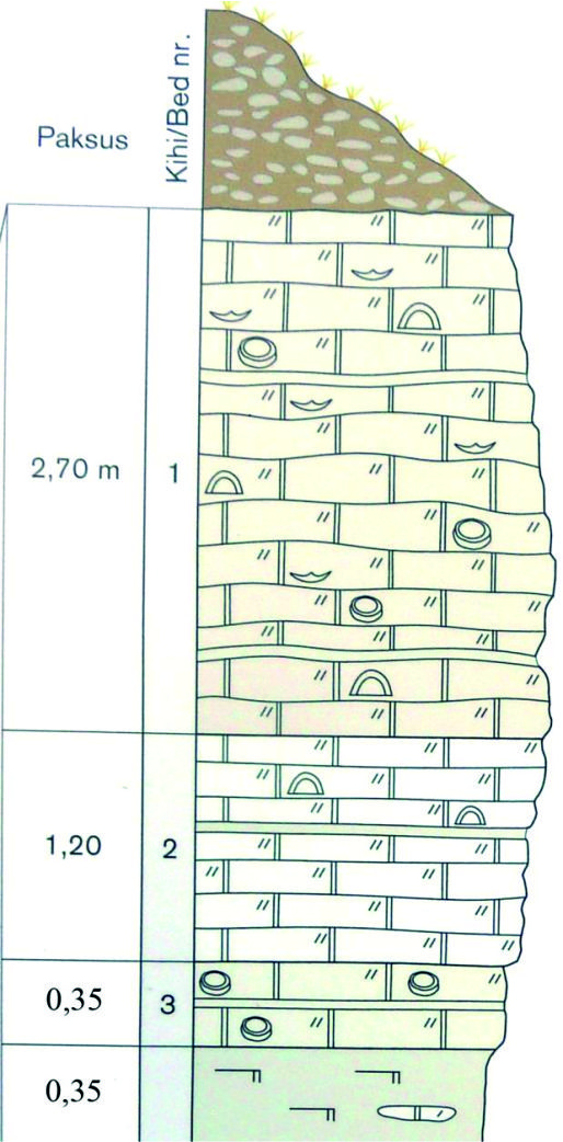 Ninase panga läbilõige (saartegeopark.ee).