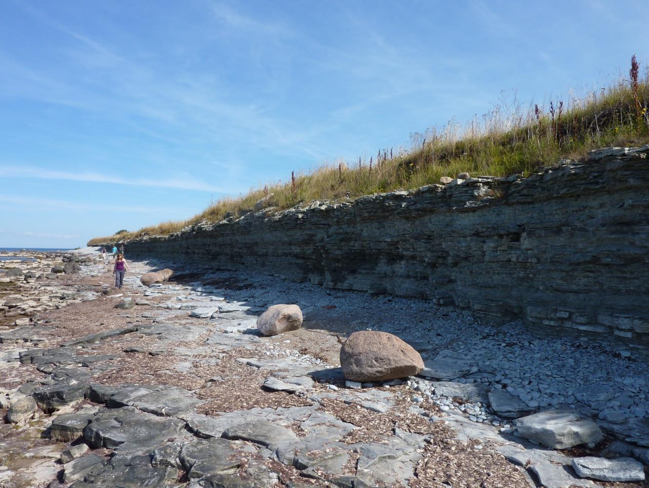 Ohesaare paljandi lõik, kust tormilainetus on klibuvalli minema uhtunud (foto: T. Paiste, 2015).