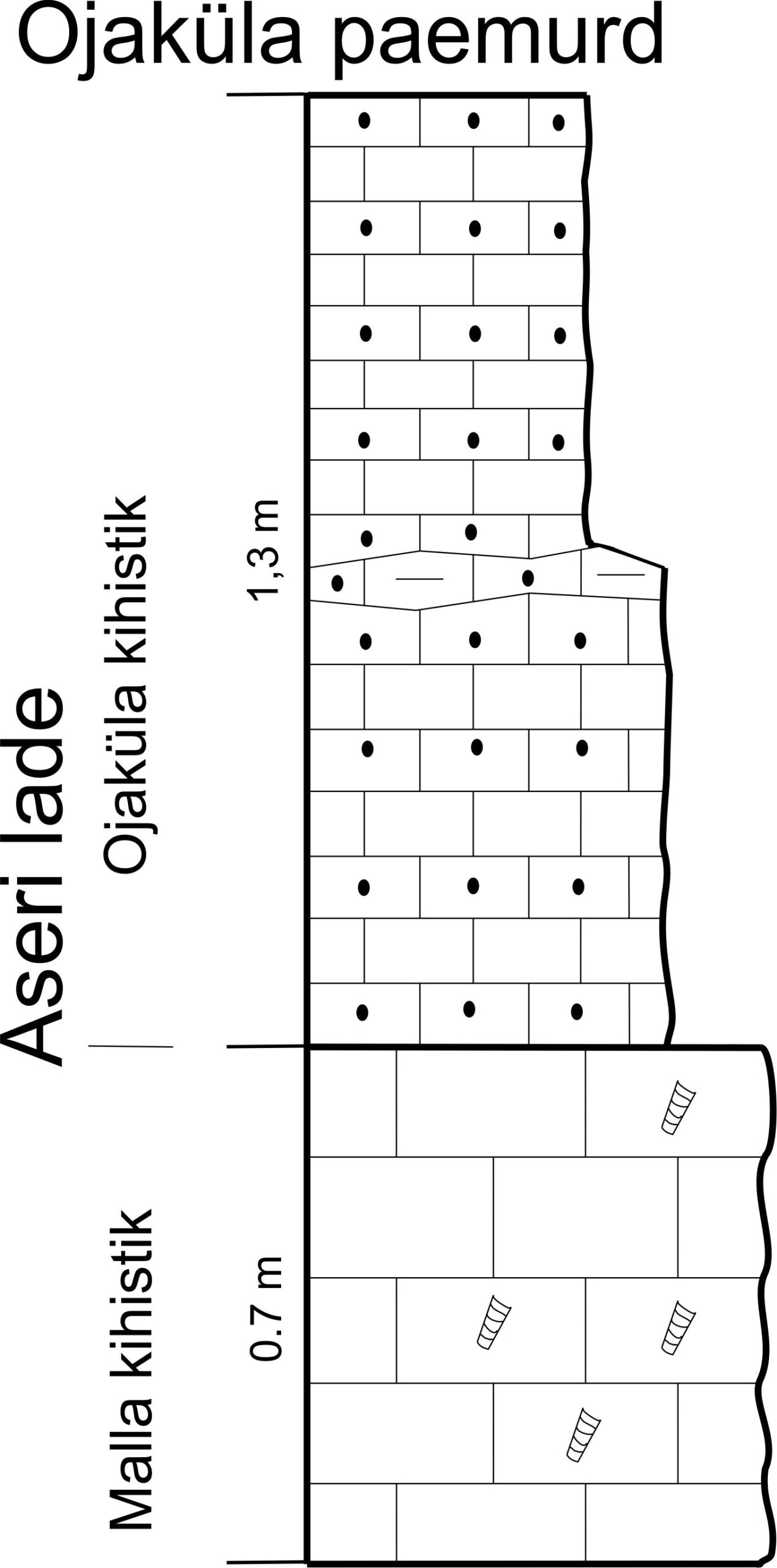 Ojaküla paemurru läbilõige, 2014. (joonis: Paiste T.)