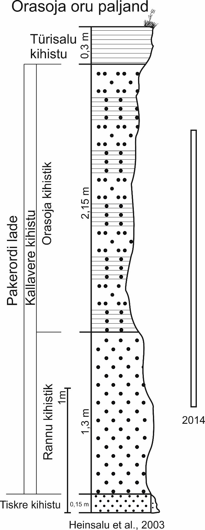 Orasoja oru paljandi läbilõige Heinsalu jt (2003) alusel. Ristkülikuga märgitud 2014. aastal paljandunud läbilõikeosa. (joonis: Paiste T.)