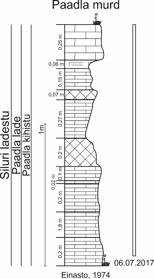 Paadla murru läbilõige Einasto (1973) järgi koos 2017. aastal paljanduva läbilõike osaga. (joonis: Paiste T.)