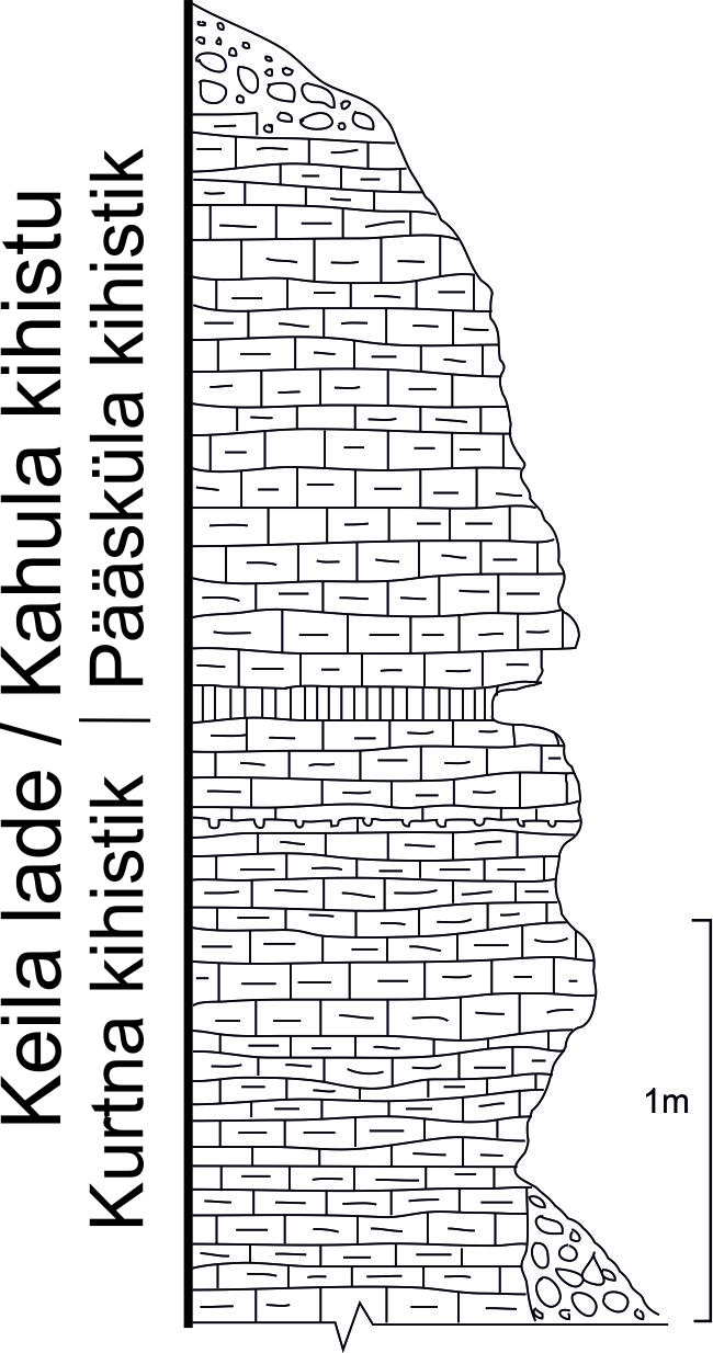 Pääsküla kõviku paljandi läbilõike joonis Hints, 2004 põhjal.