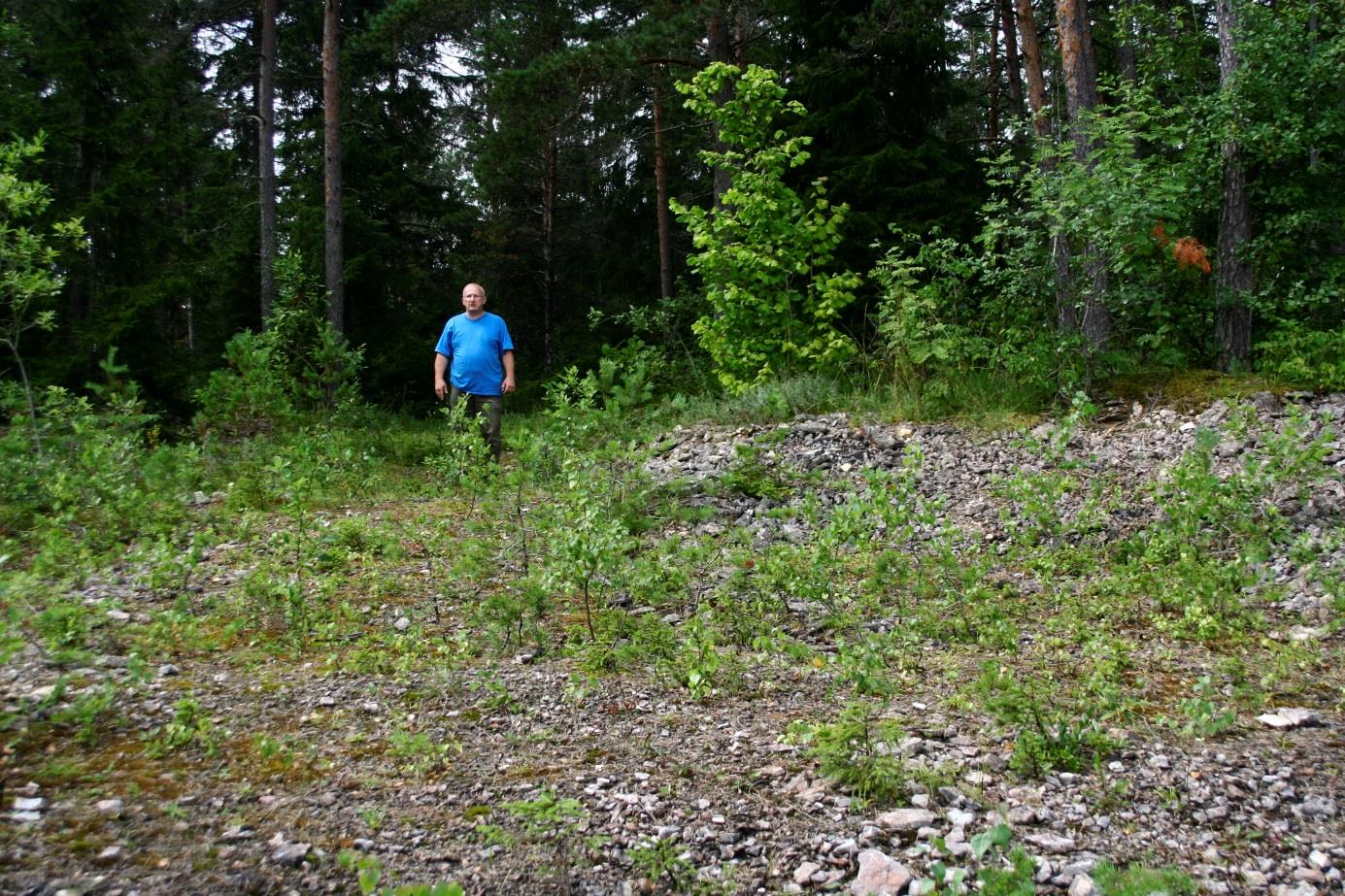 Paekna paemurru edelaserval, mille all on eeldatavalt Paekna kihistu savikad lubjakivid (foto: S. Soomer, 2012).