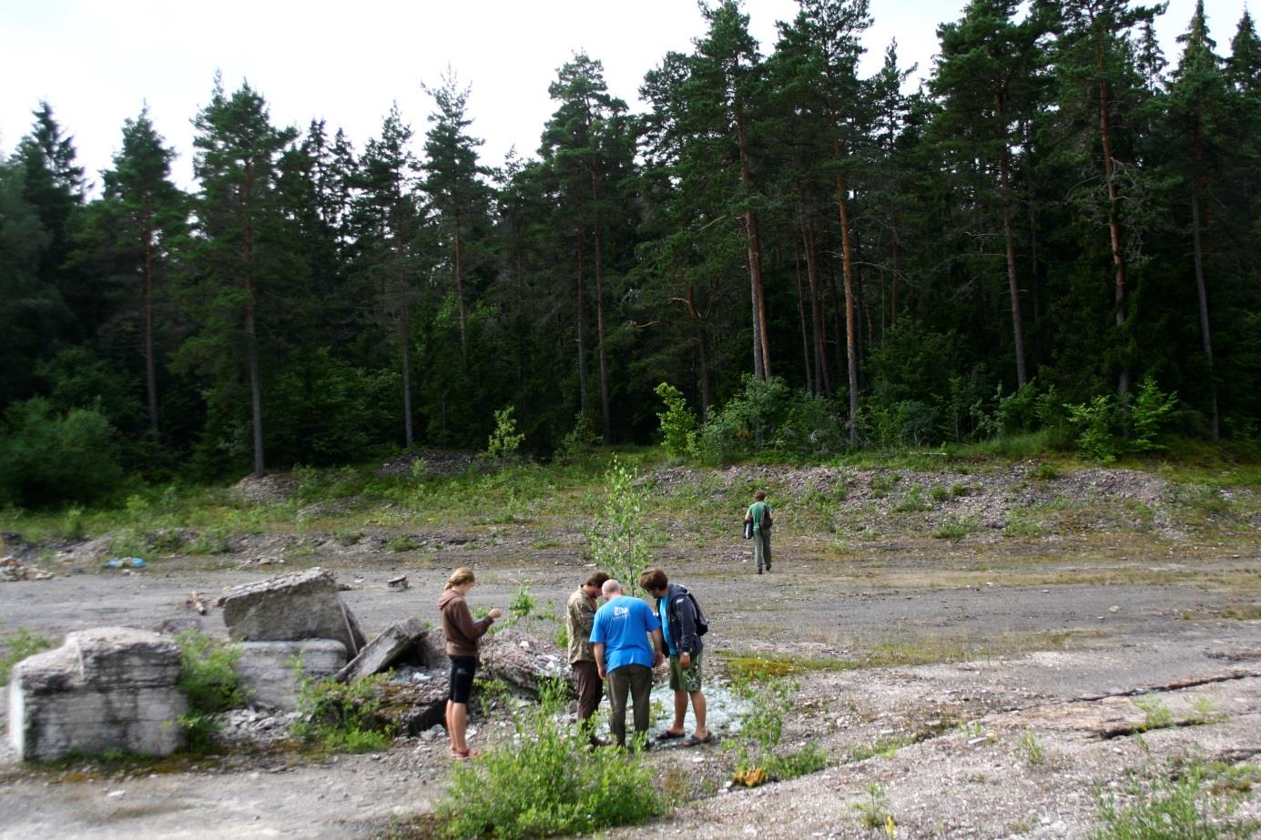 Üldvaade Paekna paemurrule (foto: S. Soomer, 2012).