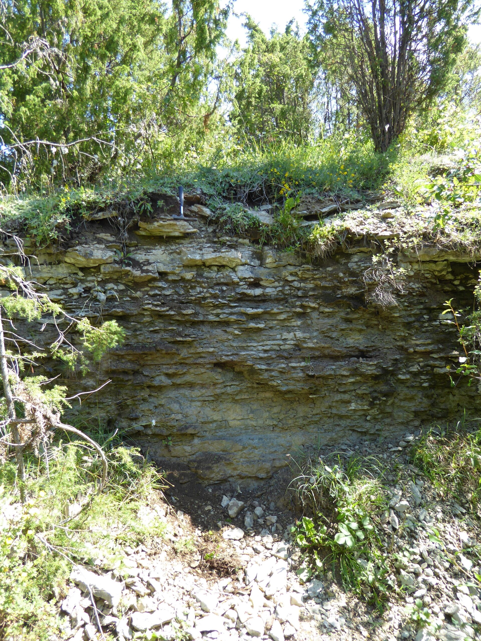 Peetri kõviku kaldšahti koopaväline paljanduv osa. Tunneli läbilõige algab pildil olevate alumiste kihtide tasemelt (foto: T. Meidla, 2016).