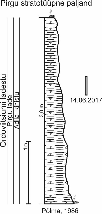 Pirgu lademe stratotüüpse paljandi läbilõige. Põlma (1986) andmetel paljanduvad Pirgu lademe Adila kihistu savikad, muguljad ja kohati dolomiitsed peeneteralised lubjakivid. Ristkülikuga on märgitud 14.06.2017 paljanduva osa oletatav asend (joonis: Paiste T.).