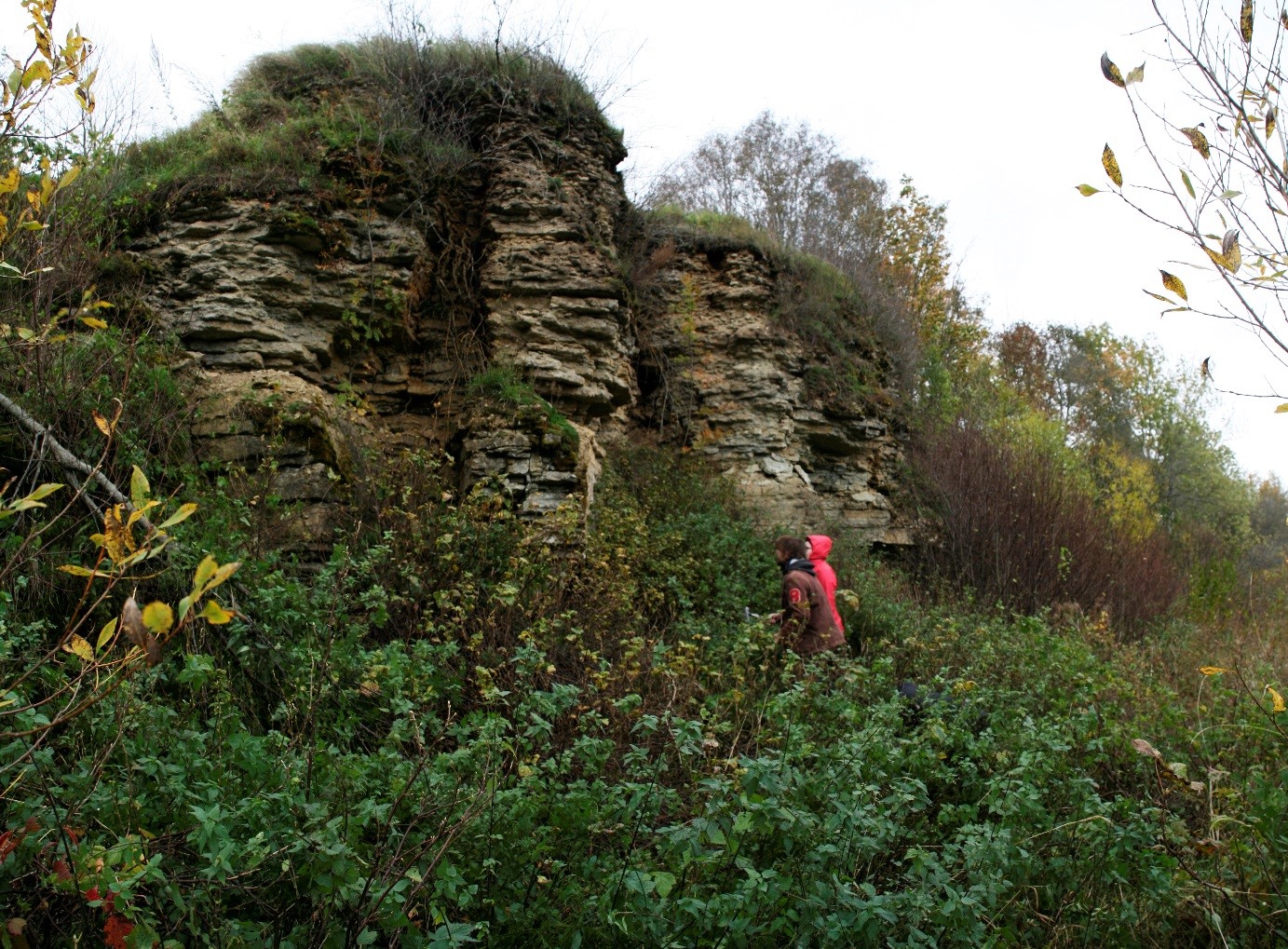 Sillaoru paljand Purtse jõel, parim paljanduv läbilõige (foto: S. Soomer, 2016).